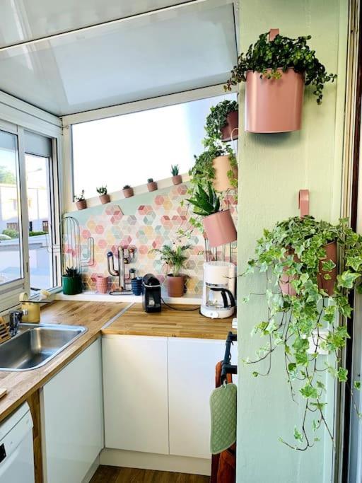 L'Etoile Des Sables: Beachside 4-Star Villa in Royan Exterior photo